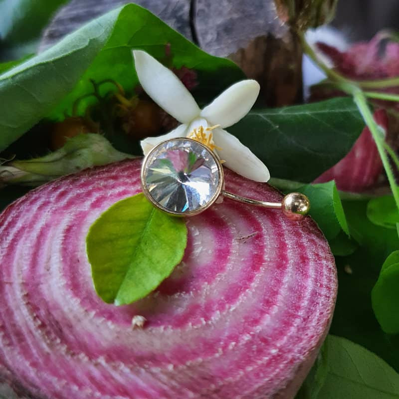 پیرسینگ بدن زنانه پایتخت مدل PS301