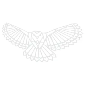 برچسب بدنه خودرو ونگارد طرح عقاب کد 02