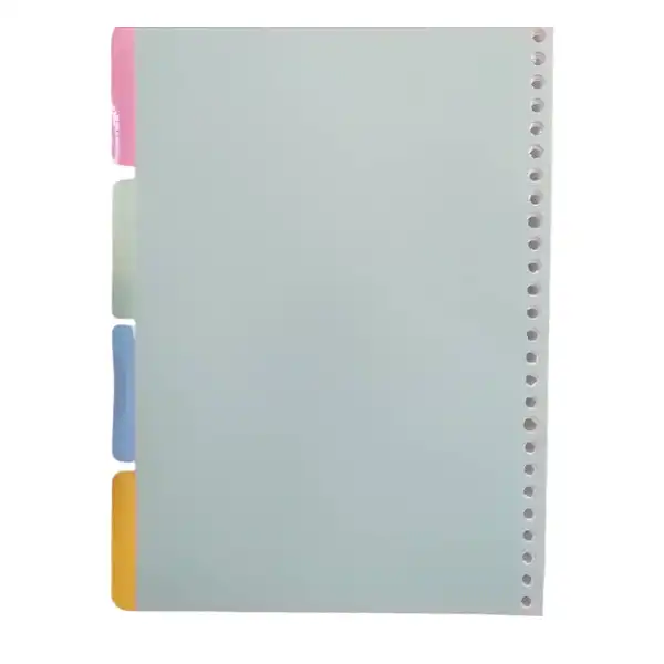 کاغذ کلاسور مدل شقایق بسته 100 عددی