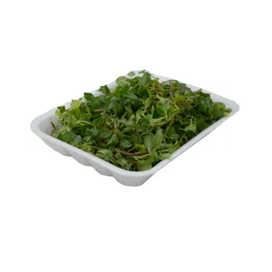 نعنا سیبی درجه یک - 80 گرم