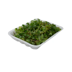 نعنا سیبی درجه یک - 80 گرم