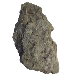 سنگ راف مدل فسیل چوب کد 217810