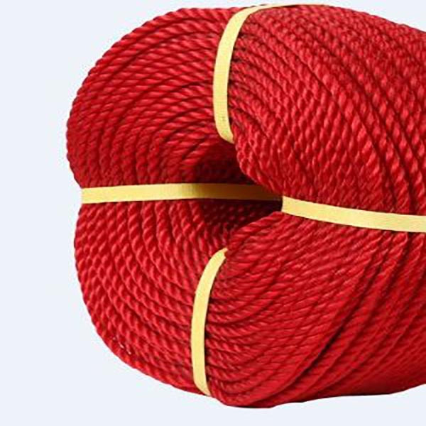 طناب بسته بندی مدل T10mm طول 10 متر