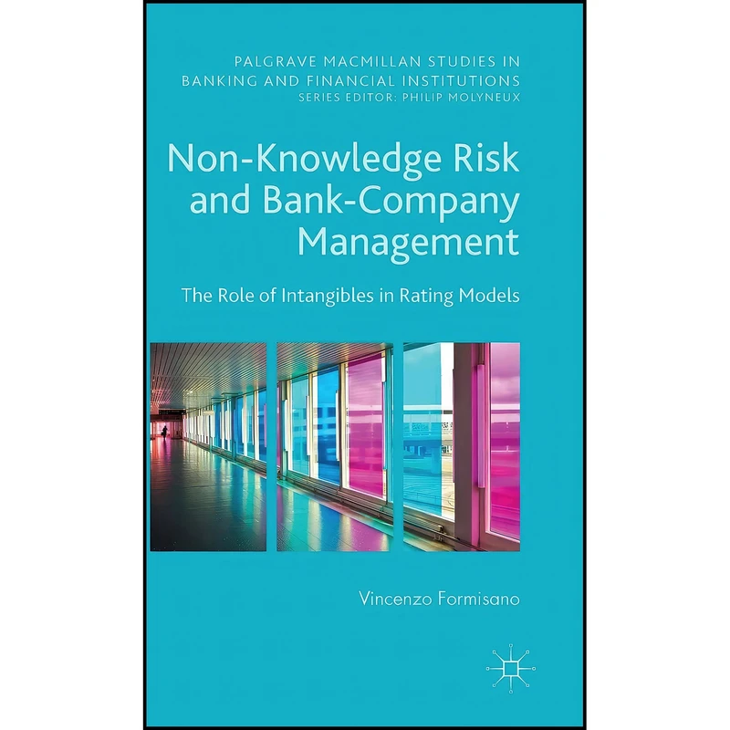 کتاب Non-Knowledge Risk and Bank-Company Management اثر Vincenzo Formisano انتشارات Palgrave Macmillan