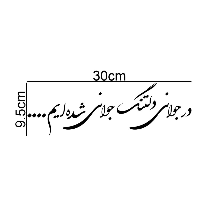 برچسب بدنه خودرو طرح در جوانی دلتنگ جوانی شده ایم کد MT-B390