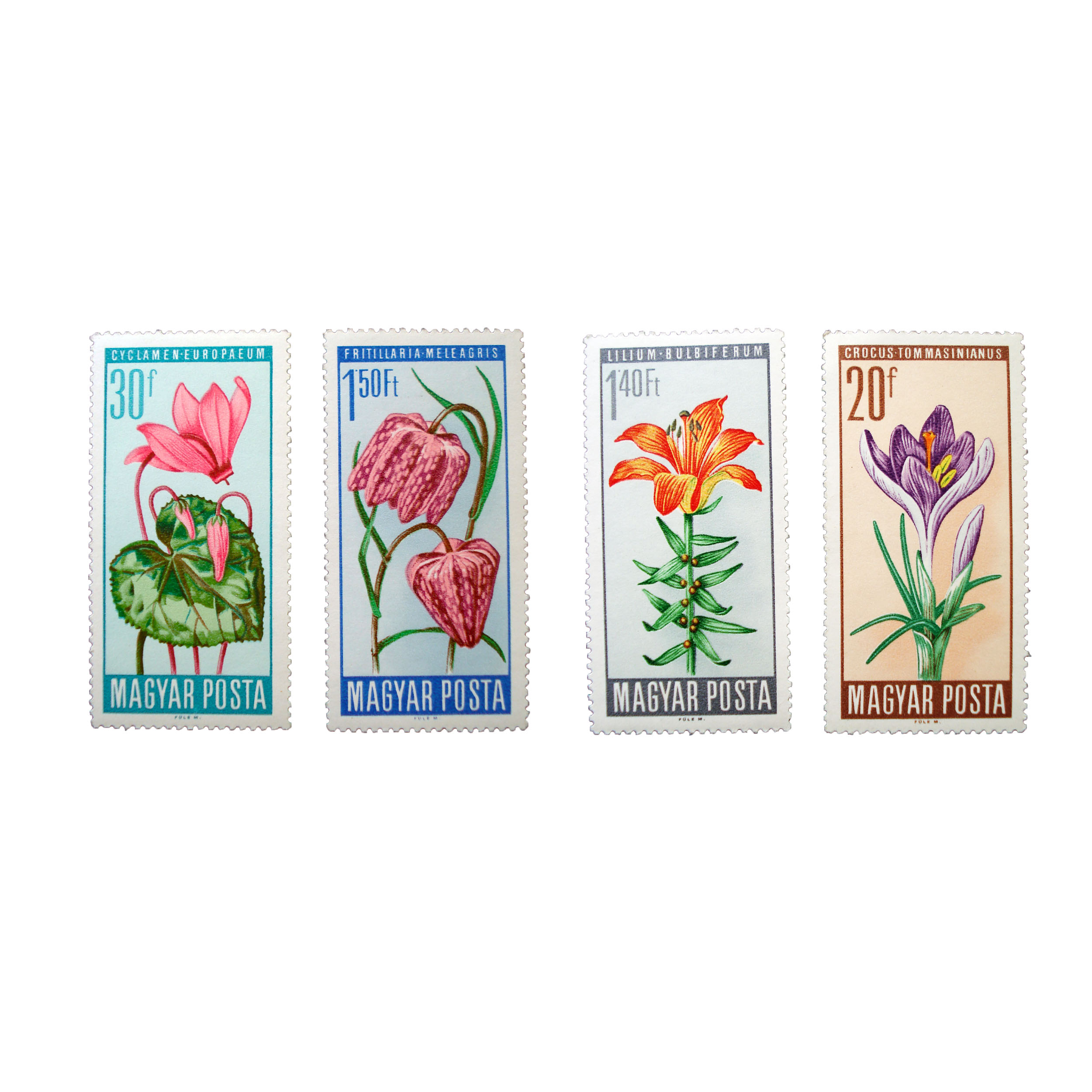 تمبر یادگاری مدل گل کد Flower-127 مجموعه 4 عددی