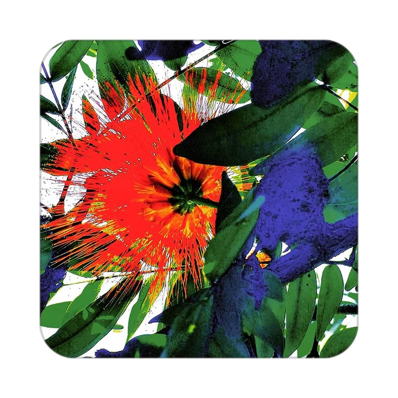 زیر لیوانی کاکتی طرح حیوانات رنگی مدل mp26493