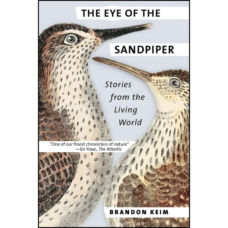 کتاب The Eye of the Sandpiper اثر Brandon Keim انتشارات Comstock Publishing Associates