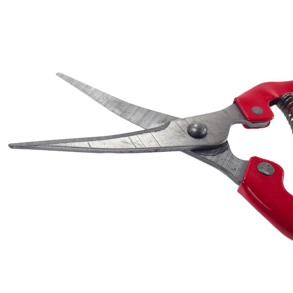 قیچی میوه چینی مدل PS