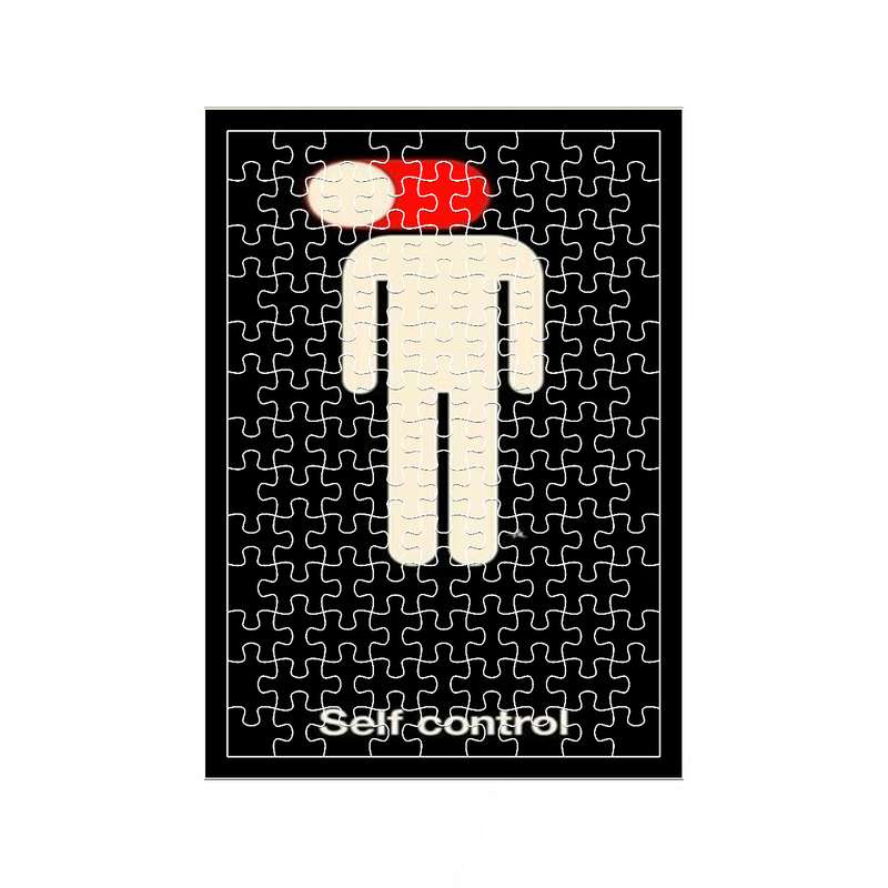 پازل 117 تکه مدل Self Control کد 924