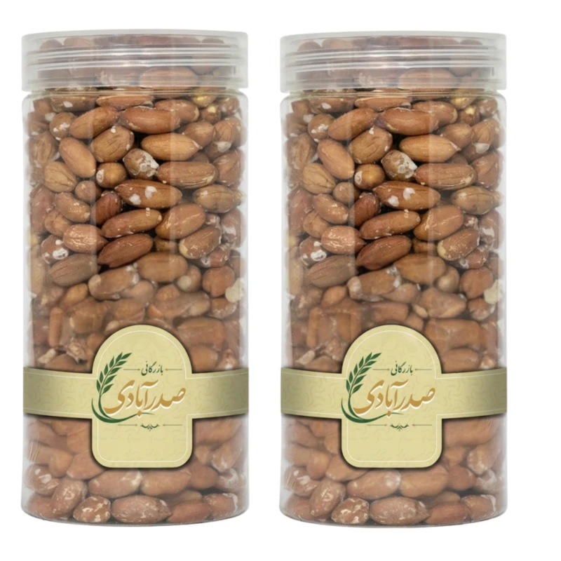بادام زمینی آستانه اشرفیه - 450 گرم بسته 2 عددی