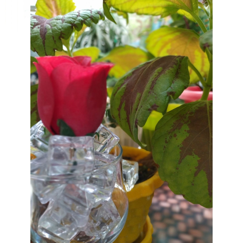 سنگ تزیینی مدل الماس کد 22 بسته 15 عددی