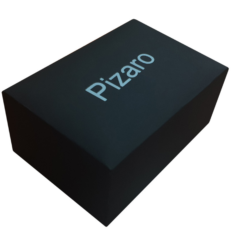 گیره کراوات مردانه پیزارو مدل 05