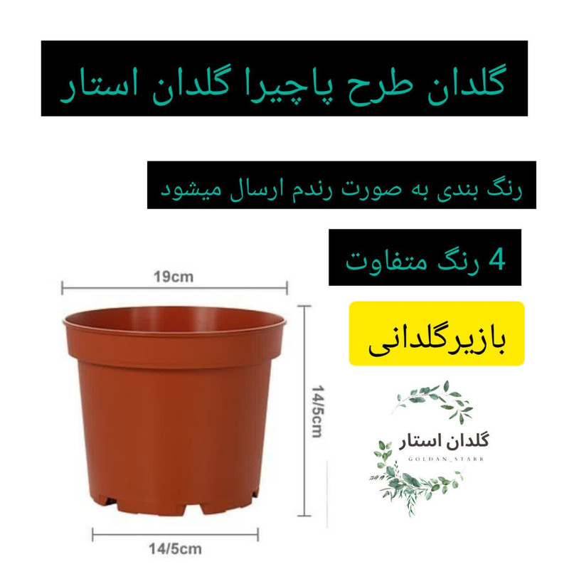 گلدان طرح پاچیرا 19cmبسته 4 عددی