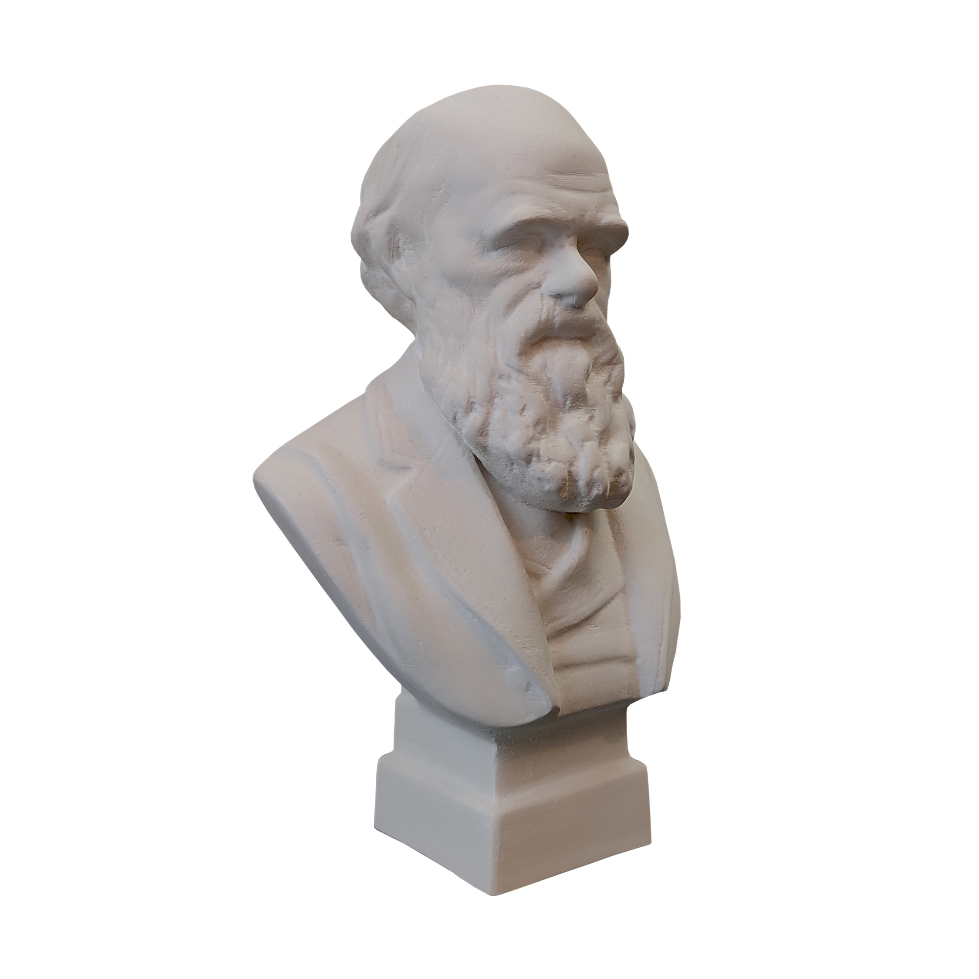 تندیس مدل چارلز داروین