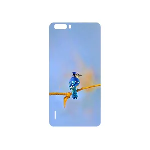 MAHOOT Cyanocitta cristata Cover Sticker for Honor 6 Plus