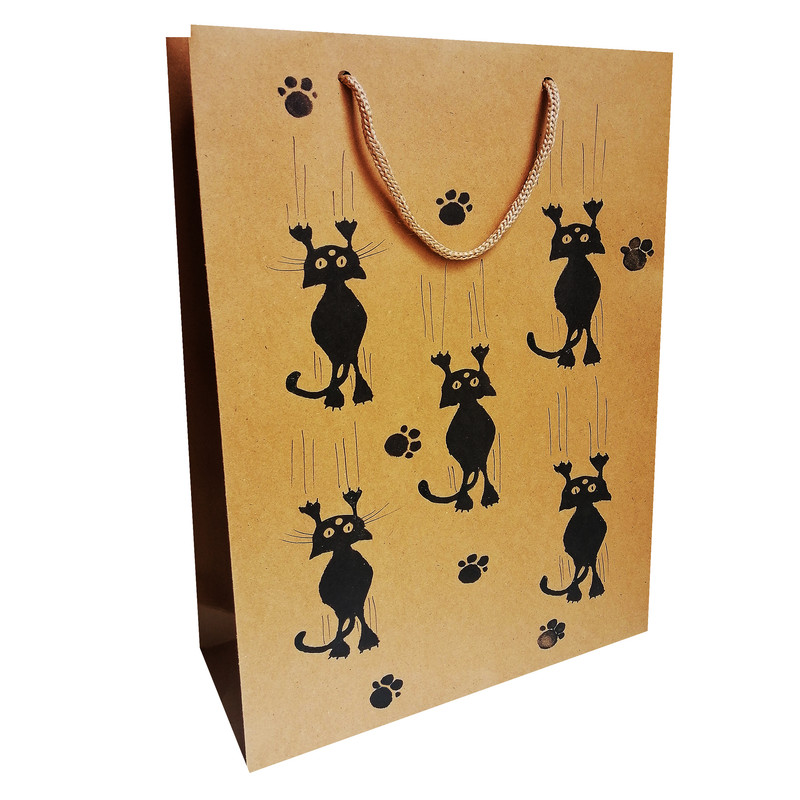 پاکت هدیه مدل گربه بازیگوش H بسته 25 عددی