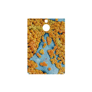 MAHOOT Atom Universe 7 Cover Sticker for BlackBerry Passport Silver Edition