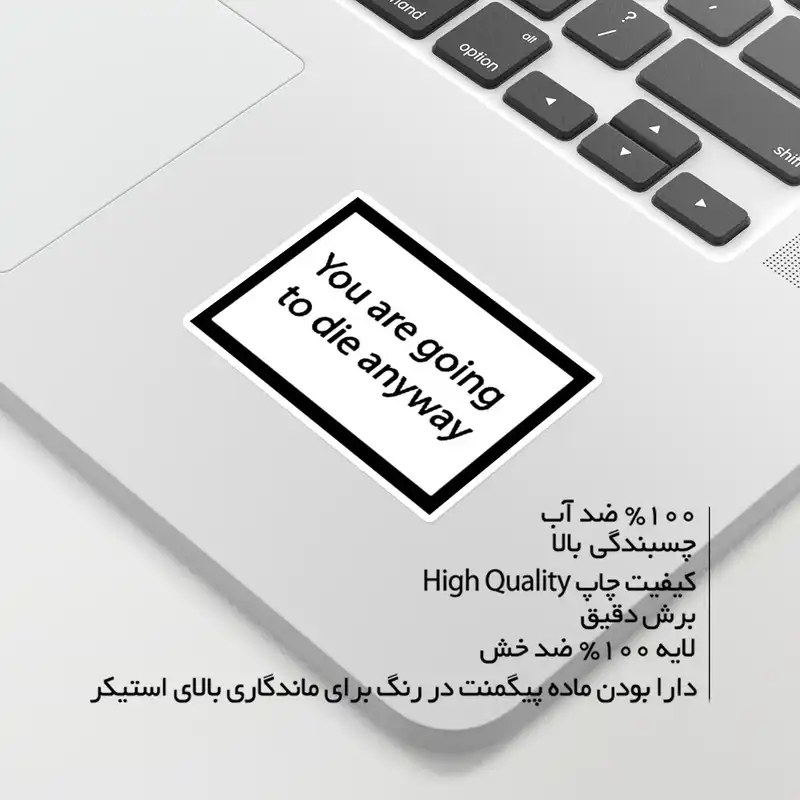 استیکر لپ تاپ ماسا دیزاین طرح ANYWAY مدل STKTE1