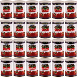 رب گوجه فرنگی دریان دشت - 400 گرم بسته 24 عددی