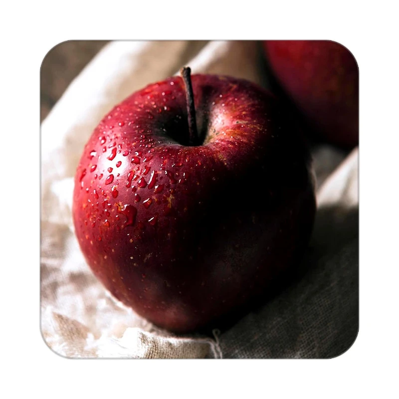 زیر لیوانی کاکتی طرح میوه مدل mp20115