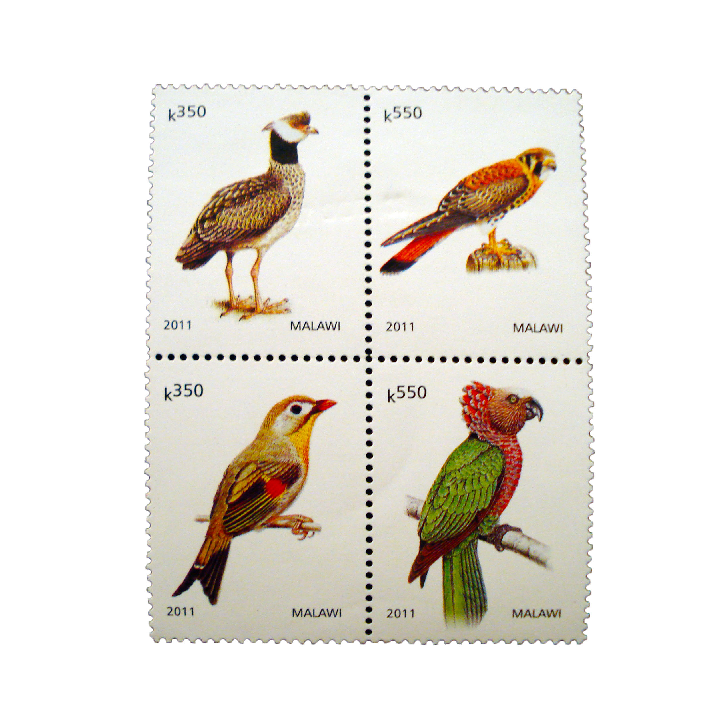 تمبر یادگاری طرح طبیعت مدل پرنده کد bird-775 مجموعه 4 عددی