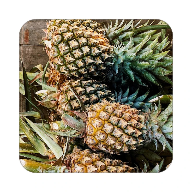 زیر لیوانی کاکتی طرح میوه مدل mp22262