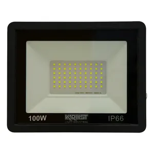  پرژکتور 100 وات کاربیست مدل SMD_M کد IP66