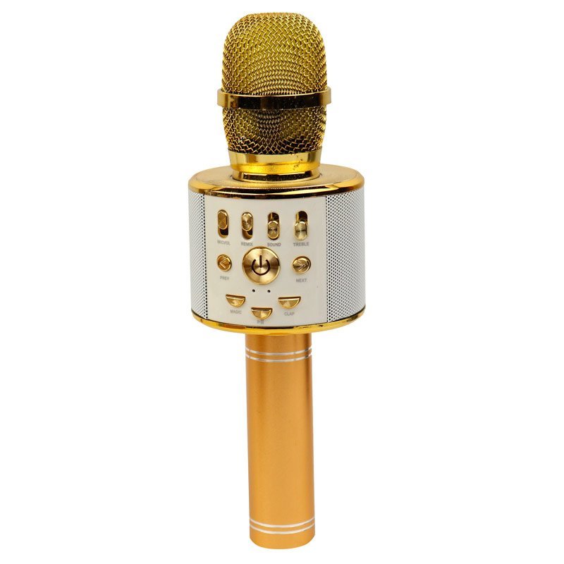 میکروفون اسپیکر مدل WS-858L