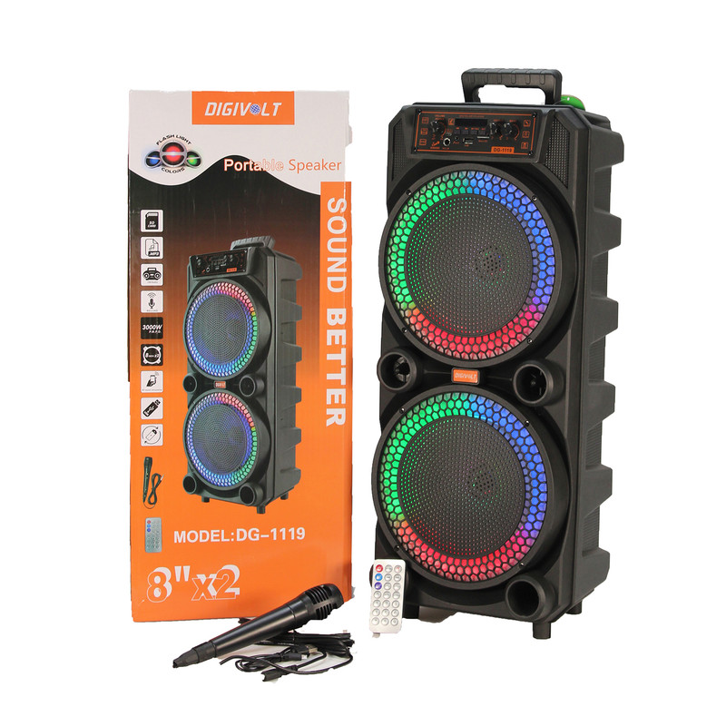اسپیکر بلوتوثی قابل حمل مدل DG-1119 2