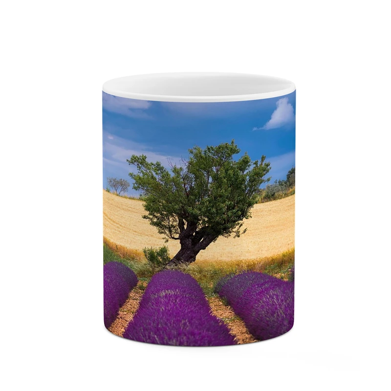 ماگ کاکتی مدل منظره کد mgh17147