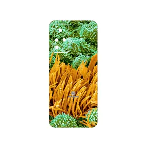 MAHOOT Atom Universe 6 Cover Sticker for Infinix Zero X