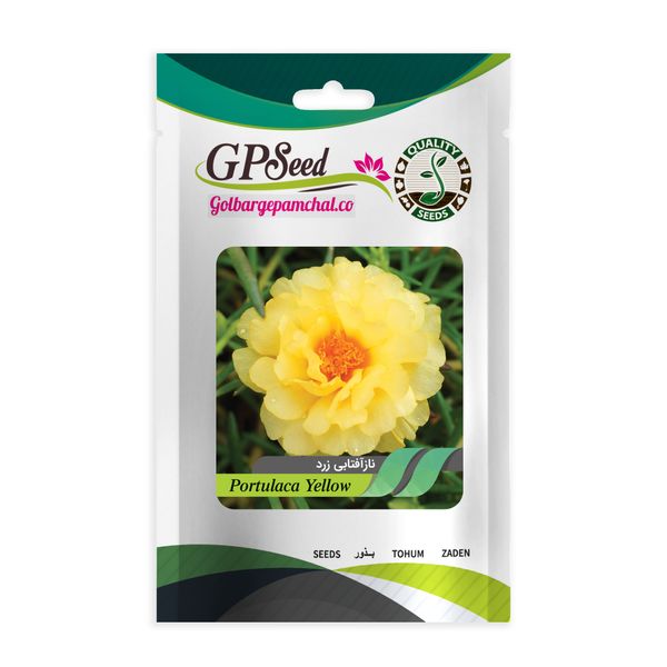 بذر گل ناز آفتابی زرد گلبرگ پامچال کد GPF-170