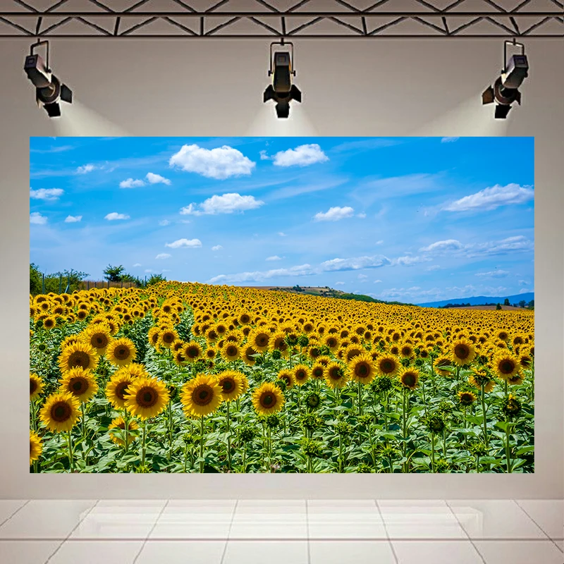 تابلو بوم طرح مخمل مزرعه گل های آفتابگردان کد AR303846