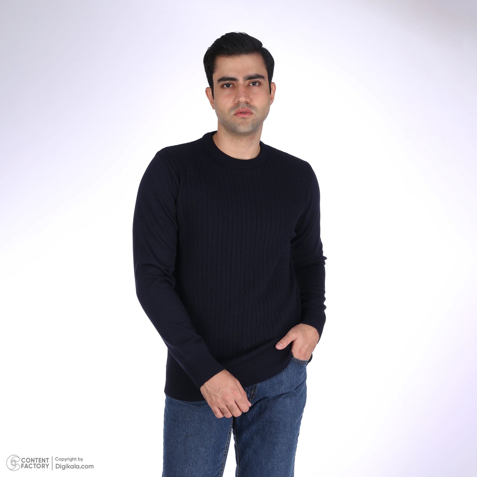 پلیور مردانه تریکو پاییزان مدل ARN یقه گرد رنگ سرمه‌ای -  - 2