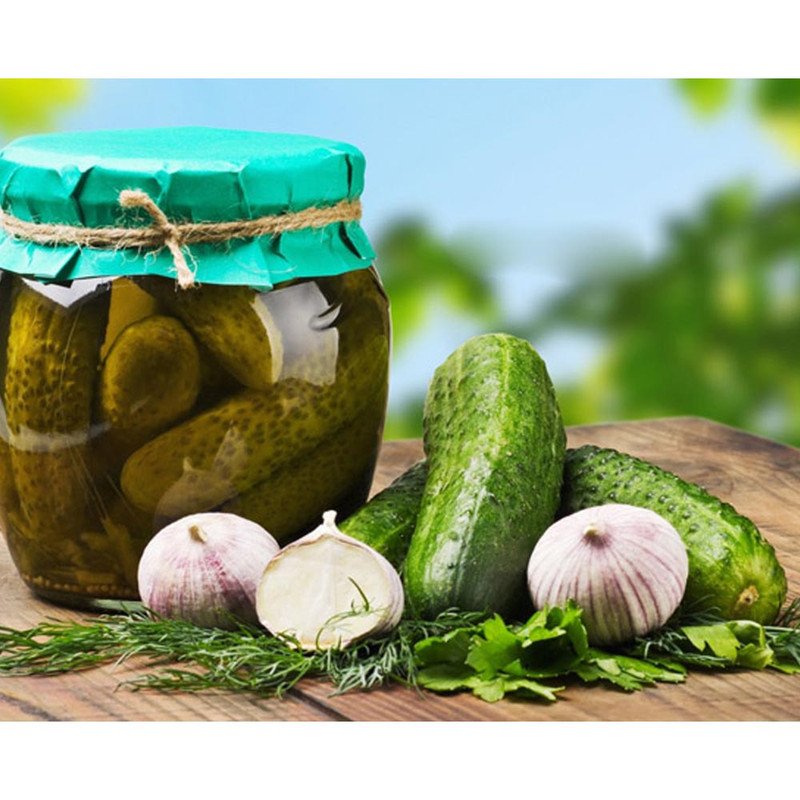 بذر خیار ترشی شمالی خاردار گلس گاردن مدل GL03