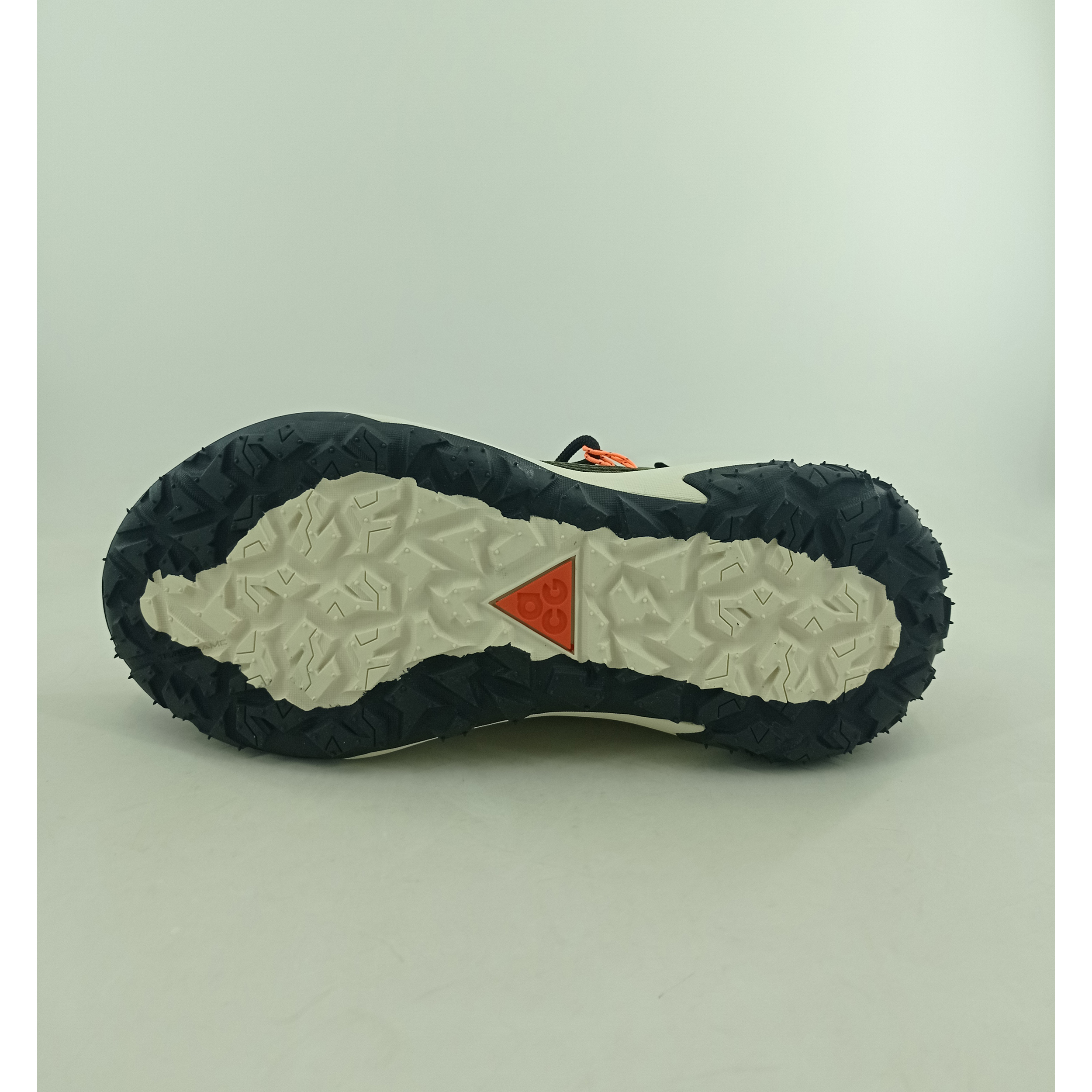کفش طبیعت گردی مردانه مدل ACG Mountain Fly 2Low GORE-TEX