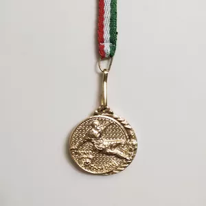 مدال قهرمانی مدل FIFA 