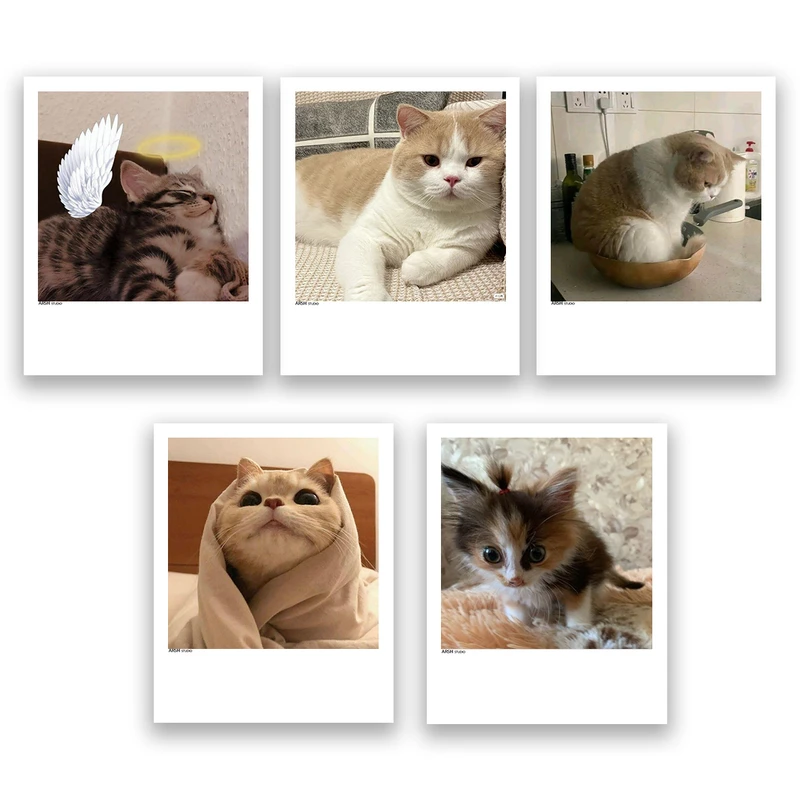 آویز تزیینی عرش مدل فانتزی گربه بامزه کد Asa344 مجموعه پنچ عددی