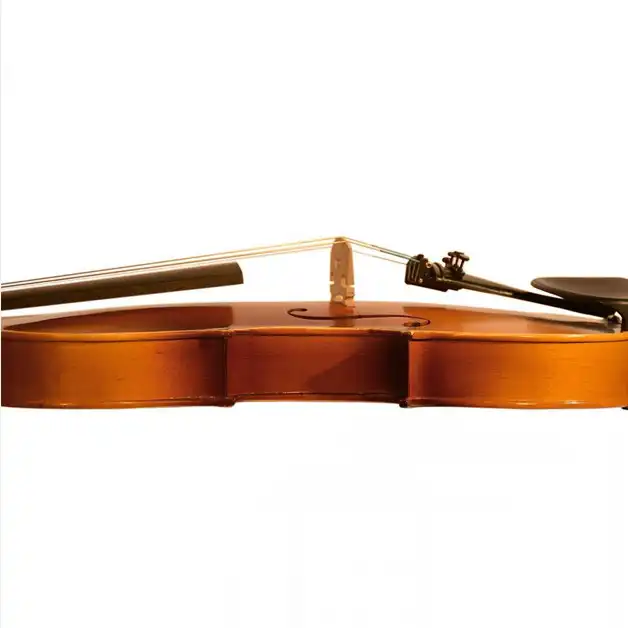 ویولن مدل 808 d