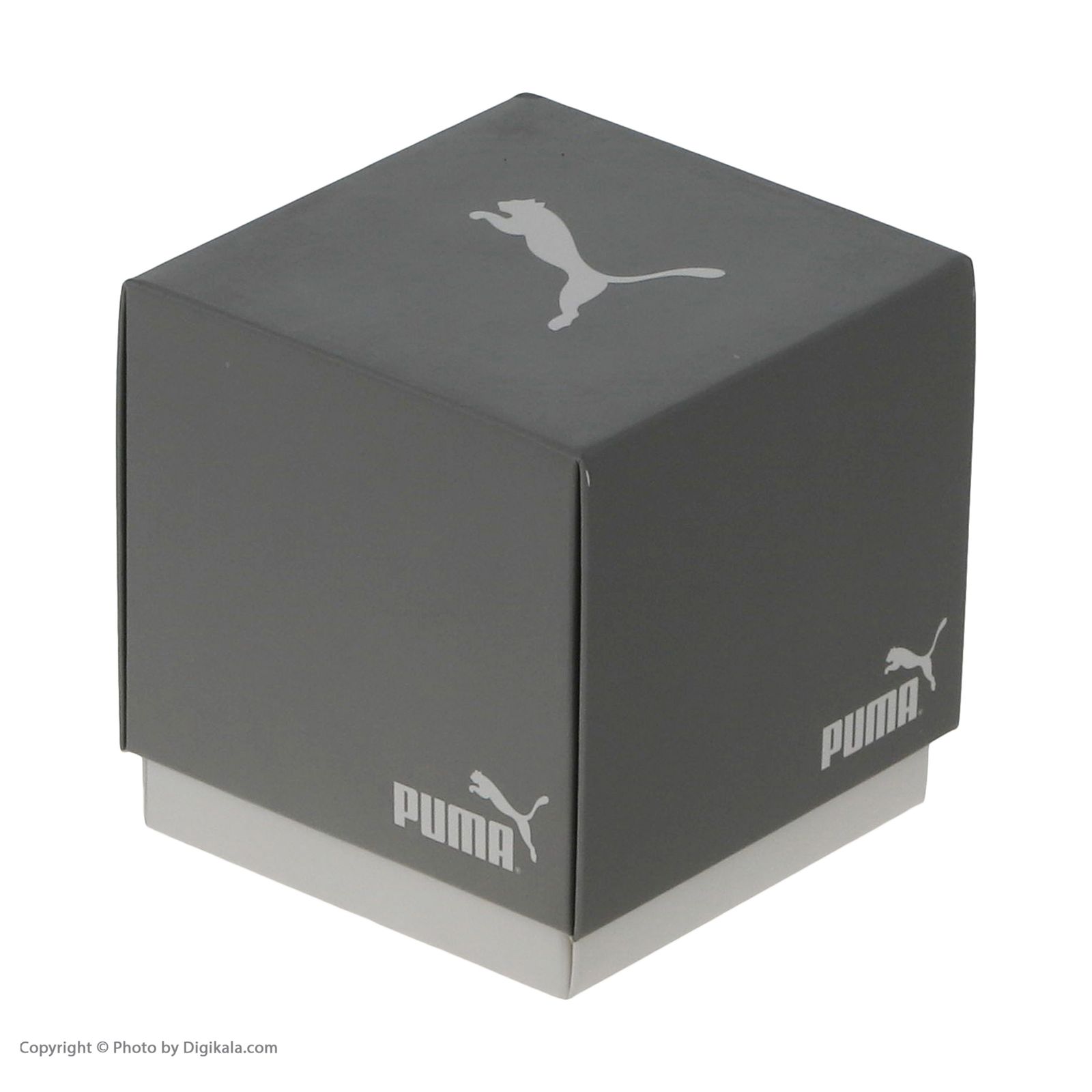 ساعت مچی عقربه‌ای مردانه پوما مدل P5061 -  - 5