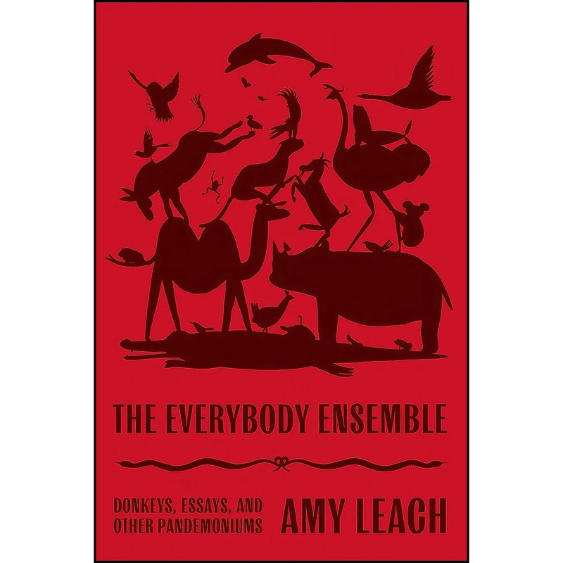 کتاب The Everybody Ensemble اثر Greg Pak and Amy Leach انتشارات Farrar, Straus and Giroux