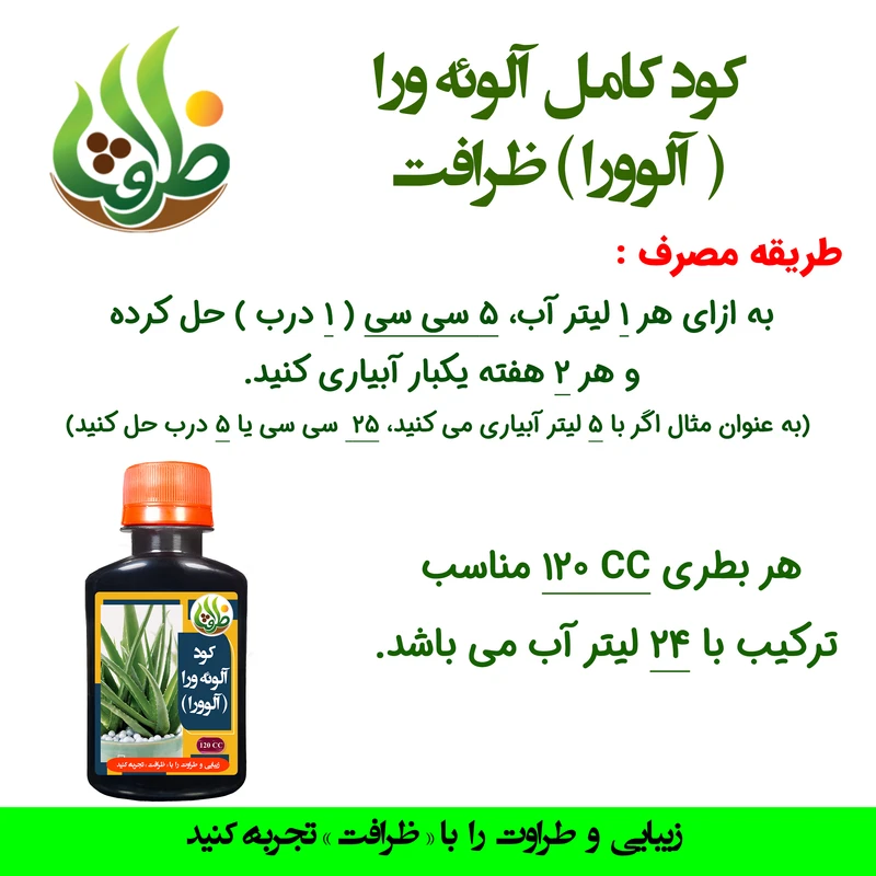 عکس شماره 3