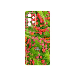 MAHOOT Atom Universe 3 Cover Sticker for Samsung Galaxy A52s 5G