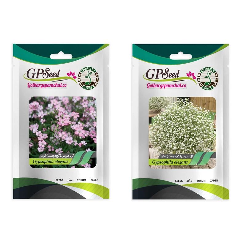 بذر گل عروس گچ دوست قرمز و گچ دوست سفید گلبرگ پامچال کد GPF-345 مجموعه 2 عددی