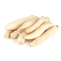 ترب سفید Fresh وزن 1 کیلوگرم