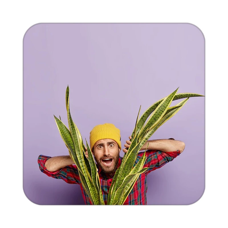 زیر لیوانی کاکتی طرح گل مدل mp19386