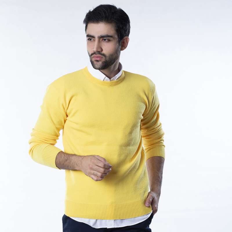 پلیور مردانه سیدونا مدل MSI2020-003
