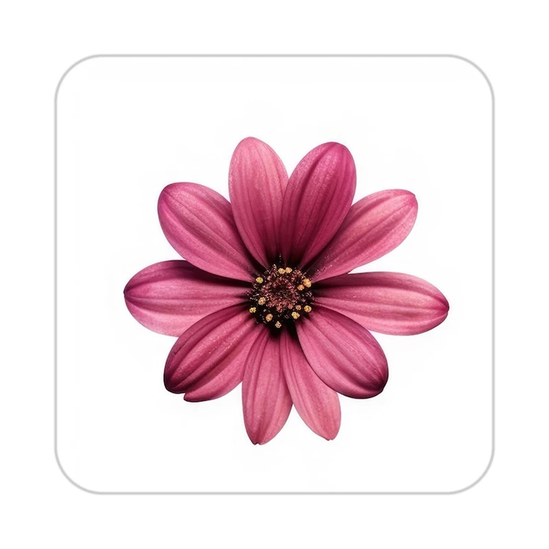 زیر لیوانی کاکتی طرح گل مدل mp18384