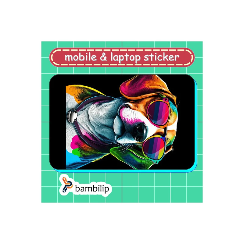 استیکر بامبیلیپ مدل کارت عابر طرح استایل هاپو و عینک آفتابی کد 5680745